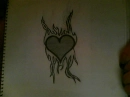 flamin heart