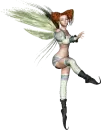 Fairy