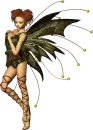 Fairy 