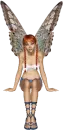 Fairy 