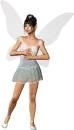 Fairy