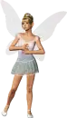 Fairy