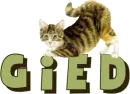 Gied cat