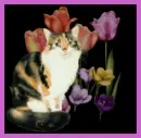cat and flowers