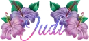 Judi