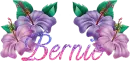 Bernie