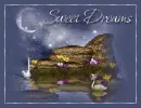 Sweet Dreams
