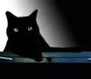 Black Cat
