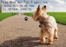 gone for a walk