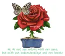 Red Rose with Butterfly