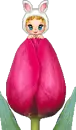 baby tulip