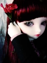 A Dark Rose