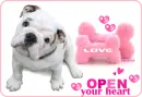 open your heart