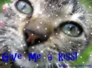 Give me a kiss! 