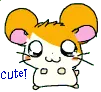 Cute Hamtaro