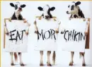 eat more chiken