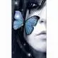 butterfly girl
