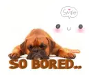 so bored...