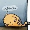 kitty