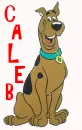 Scooby Doo- Caleb