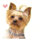 princess