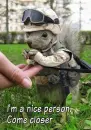 funny