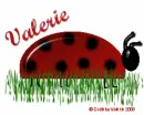 Ladybug-Valerie