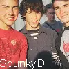 Jonas Brothers - Random Icon