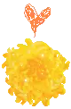 YELLOW FLOWER