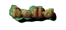 hamburguesa