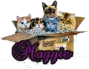 Maggie