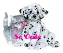 so cute
