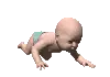 Crawling Baby (animated)