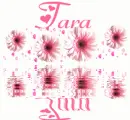 Tara