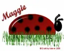 Maggie