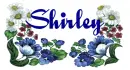 Shirley