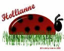 Hollianne