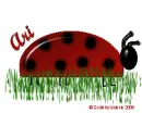 Ari- Ladybug