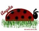 Angela-Ladybug