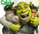 Shrek, Donkey & Puss-n-Boots- Friends