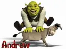 Shrek & Donkey playing leap frog- Andrew