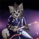 Rock On_!