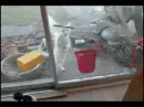window washer