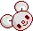cute bunny