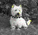 punk dog