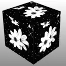 FLOWERS 3D