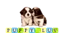 puppy luv