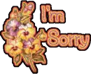 Sorry