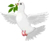White Dove