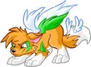 puppy